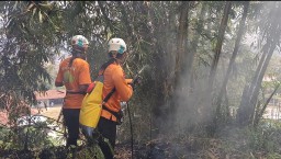 Tim BPBD Kabupaten Sumedang saat memadamkan api yang terjadi di Gunung Kerud Desa Jatihurip, Kecamatan Sumedang Utara, Kabupaten Sumedang. 