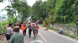Petugas gabungan dari TNI Polri, BPBD, Perhutani  dan di bantu masyarakat langsung mengevakuasi pohon  tumbang menimpa pengendara motor di jalur Cadas Pangeran, Cigendel,Kecamatan Pamulihan Kabupaten Sumedang. Senin (9/12/2024)
