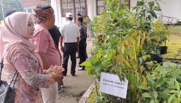 Salah seorang ASN Pemkab Sumedang, saat melihat bibit tanaman sebagai ucapan kepada Bupati Sumedang yang baru dilantik oleh Presiden Prabowo. Kamis (20/2/2025) 

