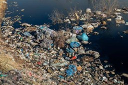 Ilustrasi sampah