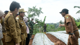 Bupati Sumedang Dony Ahmad Munir di Demplot PETAPA RAJA (Pertanian Terpadu Rakyat Sejahtera), Blok Cilimbangan, Desa Mekar Rahayu, Kecamatan Sumedang Selatan, Senin (19/5/2025).