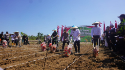 Kapolda Jabar, Irjen Pol. Rudi Setiawan, bersama Bupati Sumedang, Dony Ahmad Munir saat penanaman jagung. Rabu (9/7/2025).