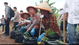 Wabup Sumedang Fajar Aldila bersama Kapolres Sumedang Sandityo Mahardika dan Dandim 0610 Sumedang Letkol Arh Kusuma Ardianto saat menamam ubi cilembu secara serentak dalam polybag