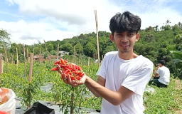 Lima pemuda asal Kecamatan Parungkuda, Kabupaten Sukabumi, Jawa Barat yang tergabung dalam kelompok Indonesia Wahana Argikultur Natural (IWAN).