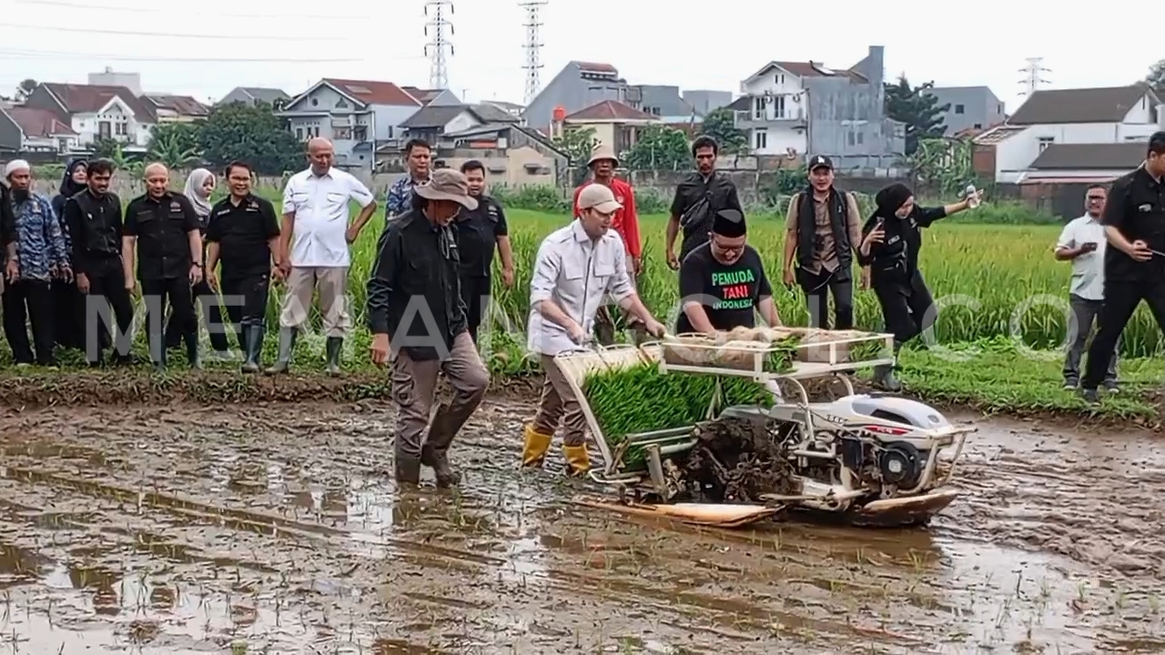 Ketua Umum Pemuda Tani Indonesia, Busisatrio Djiwandono saat menggarap sawah bersama dengan petani di Kota Bogor. ( Jabar Memanggil/ist)