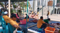 Keterangan, Panitia kurban Masjid Agung Kaliwungu, saat memotong- motong daging hewan kurban, di halaman Masjid Agung Kaliwungu, Kendal, Kamis 29/06/2023. (Roni/Jateng Memanggil)