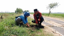 Keterangan: Ketua Kelompok mahasiswa KKN UIN Walisongo Mandiri ke 16 Angkatan 2020, Nurul Isnaini, bersama salah seorang pengurus PR GP Ansor Sudipayung, Ngampel, Kendal, saat menanam pohon di area Pesawahan Sudipayung, Minggu 16/07/2023. (Roni/Jateng Mem