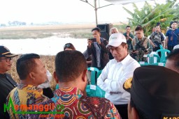 Keterangan: Mentan RI, Andi Amran Sulaiman, saat meninjau kondisi ratusan hektare sawah di Desa Turunrejo, Kecamatan Brangsong, Kabupaten Kendal, Jawa Tengah yang terdampak banjir, Jumat 22/03/2024. (Jateng Memanggil)