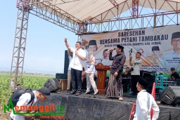 Keterangan: Wamen Sudaryono (baju putih) bersama Kades Sudipayung, Yusuf (baju coklat) saat menanggapi keluhan petani dalam acara Sarasean Bersama Petani Tembakau, di Sudipayung, Ngampel, Kendal, Minggu 15/09/2024. (Roni/Jateng Memanggil)