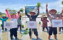 Keterangan: Kapolres Kendal, AKBP Hendry Susanto Sianipar (pertama dari kanan) saat ikut menanam bibit padi di lahan pertanian Dusun Lebo, Desa Bumiayu, Kecamatan Weleri, pada Rabu 23/04/2025. (Hms/Jateng Memanggil)