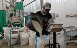 Penyortiran Beras di Penggilingan Padi Kecamatan Sawangan, Kabupaten Magelang (Jateng Memanggil/Hms)