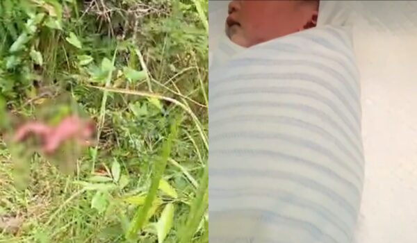 Geger, Warga Temukan Bayi Tergeletak di Hutan Blora