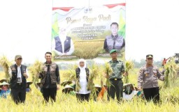 Gubernur Jawa Timur Khofifah Indar Parawansa saat panen raya padi varietas unggul di Tuban, Jawa Timur. (Jatim Memanggil/Ist)