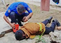 Petugas ketika evakuasi anak ular kobra di lokasi kejadian. (Jatim Memanggil/Rohman)