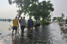 Banjir di wilayah kecamatan Plumpang kabupaten Tuban yang tak kunjung surut