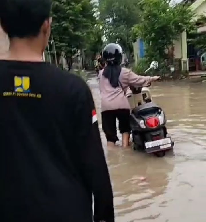 Air Bengawan Solo Meluapkan Pemukiman Hingga Persawahan di Bojonegoro
