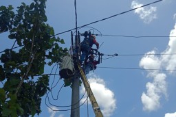 Proses pemindahan beban trafo yang overload dilakukan petugas PLN (Persero) Rayon Blora. (Memanggil.co/Ist)