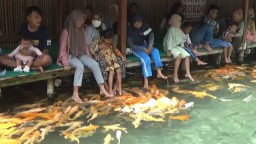 Terapi patok ikan di Wisata Pelang, Kabupaten Tuban. (Memanggil.co/Ist)