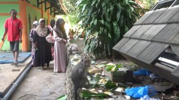 Tradisi sedekah bumi diiringi dengan pemberian makan untuk hewan liar.