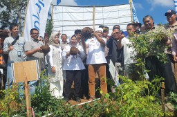 Direktur Pembiayaan Pertanian Indah Megahwati Panen Porang di Garut. (Memanggil.co/Ist)