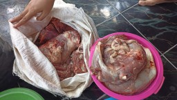 Daging kurban. (Memanggil.co/Ist)