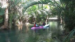Serunya bermain kano menyusuri lahan sagu di Wisata Silowo Tuban.