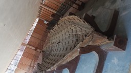 Penampakan situs perahu kuno di Desa Punjulharjo, Kecamatan Lasem, Kabupaten Rembang, Jawa Tengah. (Memanggil.co/ Masfuad Edy Santoso)