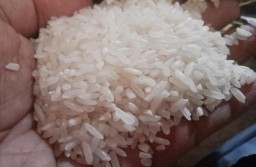 Harga beras di Rembang merangkak naik. (Memanggil.co/ Masfuad Edy Santoso)