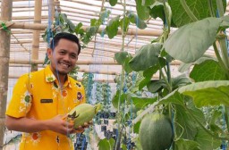 Wakil Ketua DPRD Blora, Siswanto saat di kebun buah. (Memanggil.co/Ist) 