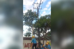 PLN Kudus menghentikan sementara pasokan listrik di beberapa titik gardu distribusi di Karanganyar Demak. (Ist)