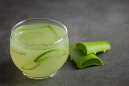 Lidah buaya (Memanggil.co/Freepik)