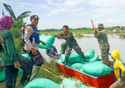 Warga setempat bersama personel TNI-Polri, BPBD, BBWS serta perangkat desa bergotong-royong berupaya membendung air tanggul Kali Ingas (Memanggil.co/Sutopo)