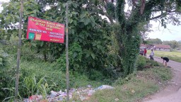 VIDEO Menggugah Pemkab Blora Lewat Aksi Nyata Gerakan Pemuda Jiken Peduli Lingkungan