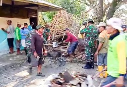 Sekolah SD N 1 Pejok ambruk akibat tertimpa pohon (Memanggil.co/Ist)