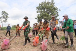 AKBP Mario bersama Dandim dan pihaknterkait tanam jagung (Memanggil.co/Ist)