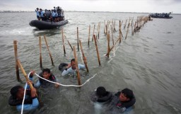 Pasukan Komando Pasukan Katak (Kopaska) TNI-AL membongkar pagar laut di kawasan Pantai Tanjung Pasir, Kabupaten Tangerang, Banten, Rabu (22/1/2025) (Memanggil.co/Antara)
