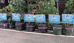 DPUPR Sends Live Tree Seedlings to Celebrate the Inauguration of the Elected Regent and Vice Regent of Blora (Memanggil.co/list)