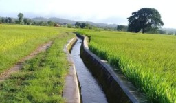 Irrigation Canals in Blora