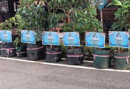 DPUPR mengirimkan bibit pohon hidup untuk merayakan pelantikan Bupati dan Wakil Bupati Blora terpilih (Memanggil.co/Ist)