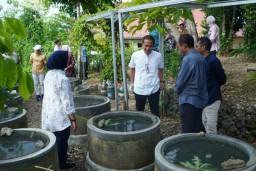 Buis penampung air hujan untuk budidaya ikan lele konsumsi (Memanggil.co/Ist)