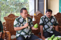 Bupati Blora Arief Rohman dan Kepala DP4 Blora Ngaliman saat panen alpukat jumbo di Desa Bicak, Kecamatan Todanan, Kamis (6/3/2025) (Memanggil.co/Ist)