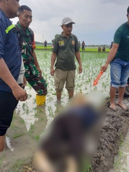 Pihak Kepolisian, TNI, Perangkat Desa, Bidan Desa mengevakuasi Warga Desa Kemantren yang Tersambar Petir (Memanggil.co/Ist)