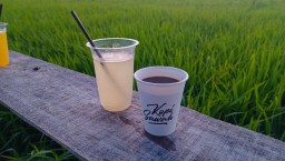 Kopi Sawah di Sonogede, Jepon (Memanggil.co/Ist)