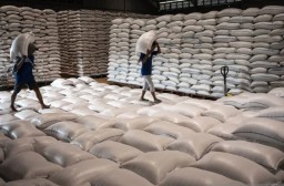 Tumpukan Stok Beras di Bulog Palebon, Semarang (Memanggil.co/Antara)