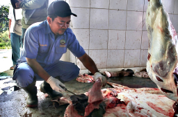 DP4 turunkan petugas untuk mengawasi kesehatan hewan ternak yang akan dikurbankan menjelang Hari Raya Iduladha 2025 (Foto: Blorakab.go.id)