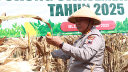 Kapolres Blora, AKBP Wawan Andi Susanto menggelar panen raya jagung serentak untuk Kuartal II 2025. (Foto: blora.kab.go.id)