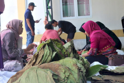 Pegawai Aparatur Sipil Negara (ASN) dari Dinas Pangan, Pertanian, Peternakan, dan Perikanan (DP4) Kabupaten Blora membungkus daging kurban dengan daun jati.(Foto: dok. DP4 Blora)