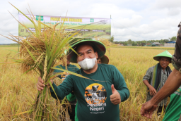Panen Padi Organik di Desa Sonokidul, Kecamatan Kunduran, Menyuburkan Kembali Bumi Ciptaan Allah SWT. Top...!! Beras lebih sehat dan bebas unsur pupuk kimia.(Foto: @AriefRohman_838)