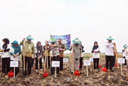Bupati Blora, Arief Rohman, ketika menanam jagung bareng Menteri Desa PDT, Yandi Susanto di persawahan Desa Pelem, Kecamatan Jati, Kabupaten Blora. (Foto: Arief Rohman/Memanggil.co)
