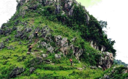 Puncak Pencu di Desa Gandu, Kecamatan Bogorejo, Kabupaten Blora. (Memanggil.co/Ist)